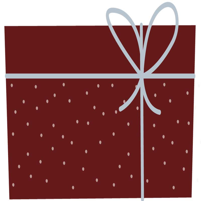 Christmas gift ideas for your budget: $100 and under